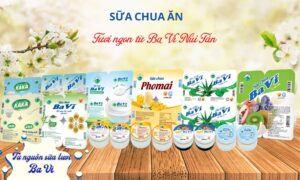 Sữa chua Ba Vì - Sữa chua KAKA