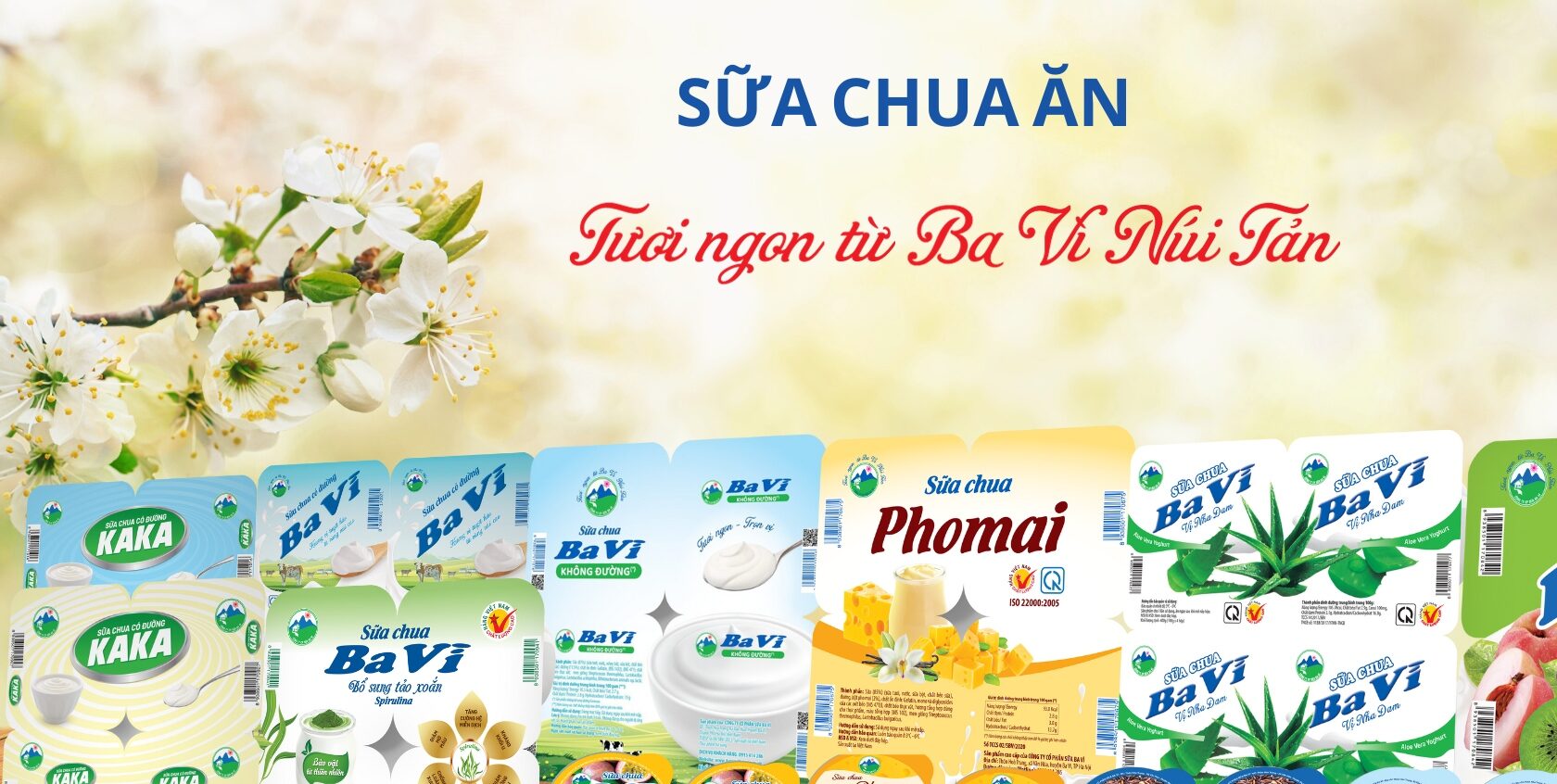 Sữa chua ăn Ba Vì & KAKA