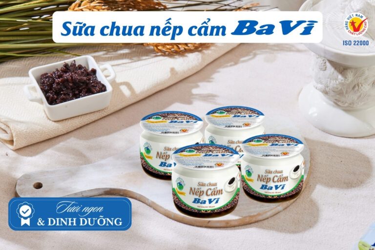 Sữa chua nếp cẩm Ba Vì